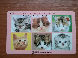 T-372 - JAPAN, Japon, Nipon, TELECARD, PHONECARD, Cat, Chat, NTT 331-089 - Katten