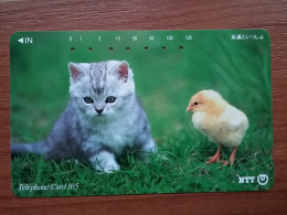 T-373 - JAPAN, Japon, Nipon, TELECARD, PHONECARD, Cat, Chat, NTT 111-062 - Katten