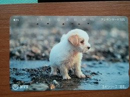 T-373 - JAPAN, Japon, Nipon, TELECARD, PHONECARD, Dog, Chien, NTT 111-040 - Chiens