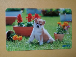 T-374 - JAPAN, Japon, Nipon, TELECARD, PHONECARD, Dog, Chien, NTT 231-381 - Cani