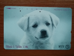 T-374 - JAPAN, Japon, Nipon, TELECARD, PHONECARD, Dog, Chien, NTT 291-213 - Perros