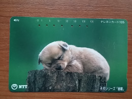 T-376 - JAPAN, Japon, Nipon, TELECARD, PHONECARD, Dog, Chien, NTT 111-016 - Cani