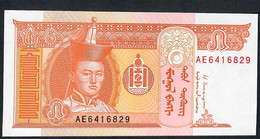 MONGOLIA P61Bb 5 TUGRIK 2014 #AE  UNC. - Mongolië