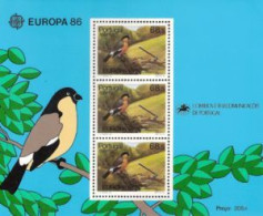 Açores 1986 (MNH) (Mi BL7) - Azores Bullfinch (Pyrrhula Murina) - Verzamelingen, Voorwerpen & Reeksen