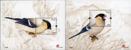 Açores 2008 (MNH) (Mi BL37, 38) - Azores Bullfinch (Pyrrhula Murina) - Collections, Lots & Séries