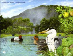 Açores 2009 (MNH) (Mi BL40) - Lagoon Of Furnas (Common Pochard, Eurasian Teal, Grey Heron) - Collezioni & Lotti