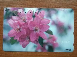 T-383 - JAPAN, Japon, Nipon, TELECARD, PHONECARD, Flower, Fleur, NTT 411-090 - Bloemen