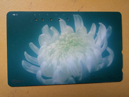 T-384 - JAPAN, Japon, Nipon, TELECARD, PHONECARD, Flower, Fleur, NTT 251-157 - Blumen