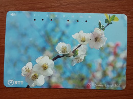 T-385 - JAPAN, Japon, Nipon, TELECARD, PHONECARD, Flower, Fleur, NTT 111-043 - Blumen