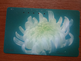 T-385 - JAPAN, Japon, Nipon, TELECARD, PHONECARD, Flower, Fleur, NTT 251-157 - Blumen