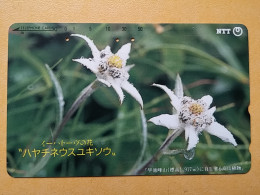 T-386 - JAPAN, Japon, Nipon, TELECARD, PHONECARD, Flower, Fleur, NTT 411-206 - Fleurs