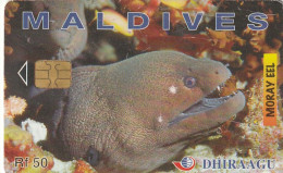 PHONE CARD MALDIVE  (E35.28.6 - Maldivas