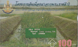 PHONE CARD TAILANDIA  (E34.9.5 - Thaïland