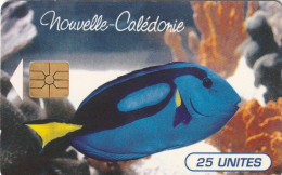 PHONE CARD NUOVA CALEDONIA  (E73.36.6 - Nieuw-Caledonië