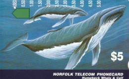 PHONE CARD ISOLE NORFOLK  (E73.31.6 - Isla Norfolk