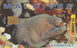 PHONE CARD MALDIVE  (E83.34.6 - Maldives