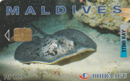 PHONE CARD MALDIVE  (E83.30.2 - Maldivas