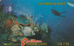 PHONE CARD CAYMAN ISLANDS  (E80.13.2 - Kaaimaneilanden