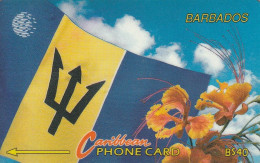 PHONE CARD BARBADOS  (E77.42.1 - Barbados (Barbuda)