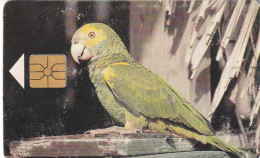 PHONE CARD ANTILLE OLANDESI BONAIRE (E77.43.1 - Antilles (Neérlandaises)