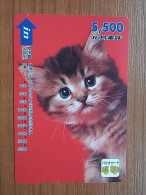 T-400 - JAPAN, Japon, Nipon, Carte Prepayee, Prepaid Card, CAT, CHAT - Gatti