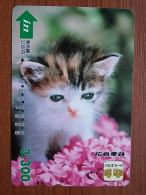 T-400 - JAPAN, Japon, Nipon, Carte Prepayee, Prepaid Card, CAT, CHAT - Katzen