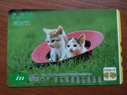 T-401 - JAPAN, Japon, Nipon, Carte Prepayee, Prepaid Card, CAT, CHAT,  - Gatos