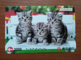 T-402 - JAPAN, Japon, Nipon, Carte Prepayee, Prepaid Card, CAT, CHAT,  - Katzen