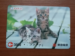 T-402 - JAPAN, Japon, Nipon, Carte Prepayee, Prepaid Card, CAT, CHAT,  - Gatti