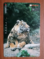 T-404 - JAPAN, Japon, Nipon, Carte Prepayee, Prepaid Card, Animal, Tigre - Altri & Non Classificati