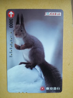 T-406 - JAPAN, Japon, Nipon, Carte Prepayee, Prepaid Card, Animal, écureuil, Squirrel - Autres & Non Classés