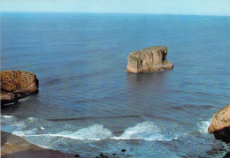 Llanes - Plage De Cue Et Rocher De Ballota - Asturias (Oviedo)