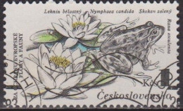 Faune - Grenouille - TCHECOSLOVAQUIE - Protection De La Nature - N° 2531 - 1983 - Gebruikt