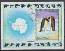 Umm-Al-Qwiain 1971 (AVE100) (Used) - Emperor Penguin (Aptenodytes Forsteri) - Albatros