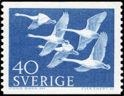 Sweden 1965 (AVE225) (MNH) (Mi 417) - Whooper Swan (Cygbus Cygnus) - Albatros & Stormvogels