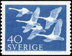 Sweden 1965 (AVE225) (MNH) (Mi 417) - Whooper Swan (Cygbus Cygnus) - Palmípedos Marinos