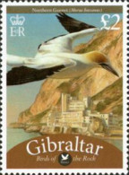 Gibraltar 009 (AVE221) (MNH) (Mi 1338) - Northern Gannet (Morus Bassanus) - Marine Web-footed Birds