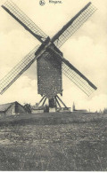 HINGENE  (Bornem): Molen - Bornem