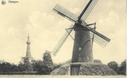 OELEGEM (Ranst) Molen - Ranst