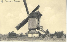 VOSSELAAR Molen - Vosselaar