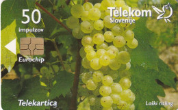 PHONE CARD SLOVENIA (E36.43.5 - Slowenien