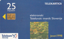 PHONE CARD SLOVENIA (E36.41.3 - Slovénie