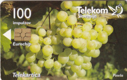 PHONE CARD SLOVENIA (E36.39.5 - Slovenië