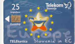 PHONE CARD SLOVENIA (E36.35.6 - Slovénie