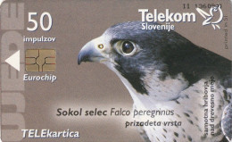 PHONE CARD SLOVENIA (E36.28.5 - Slovenië
