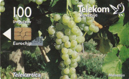 PHONE CARD SLOVENIA (E36.25.6 - Slovénie