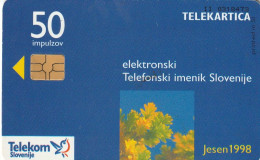 PHONE CARD SLOVENIA (E36.6.5 - Slovenia