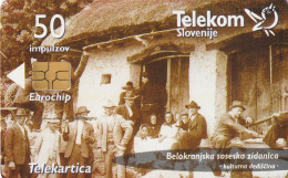 PHONE CARD SLOVENIA (E33.50.1 - Slowenien
