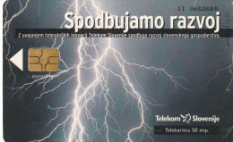 PHONE CARD SLOVENIA (E33.49.5 - Eslovenia