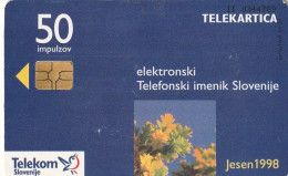 PHONE CARD SLOVENIA (E33.39.5 - Slowenien